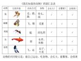 小学科学 教科版 一年级下《我们知道的动物》 活动记录单 课件