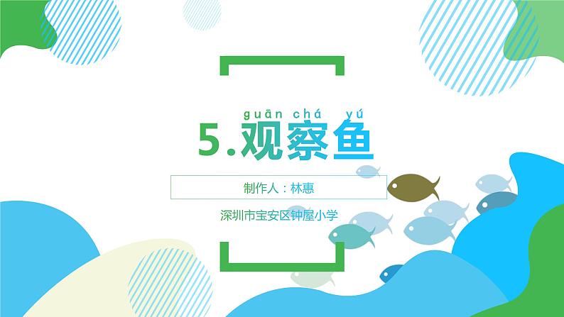 小学科学 一年级下册 《观察鱼》教学 课件第1页