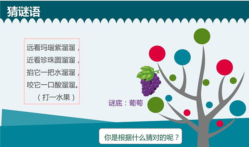 小学科学 一年级《发现物体的特征》  课件第2页