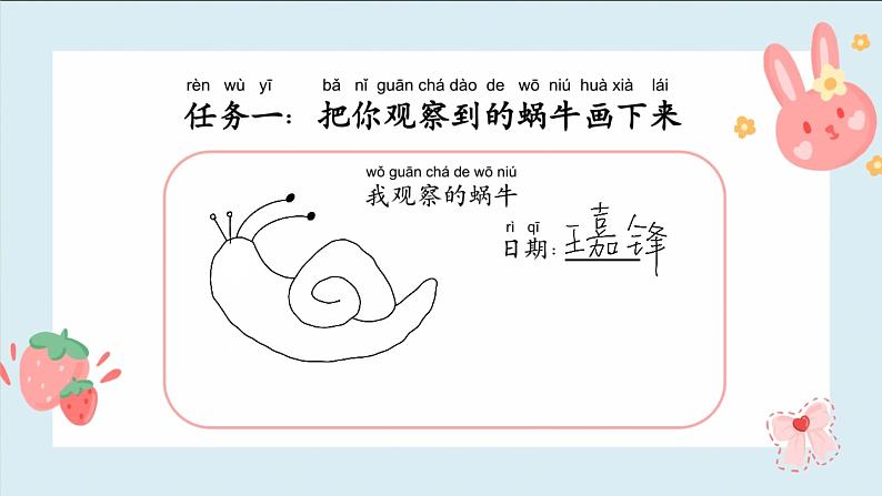 小学科学 一年级 观察一种动物 课件第7页