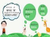 小学科学 一年级《给动物建个“家”》课件