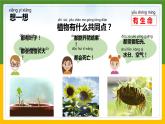 小学科学 一年级《我们知道的植物》 课件