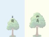 小學(xué)科學(xué) 一年級(jí)《在觀察中比較》 課件