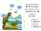 小学科学 一年级《在观察中比较》 课件