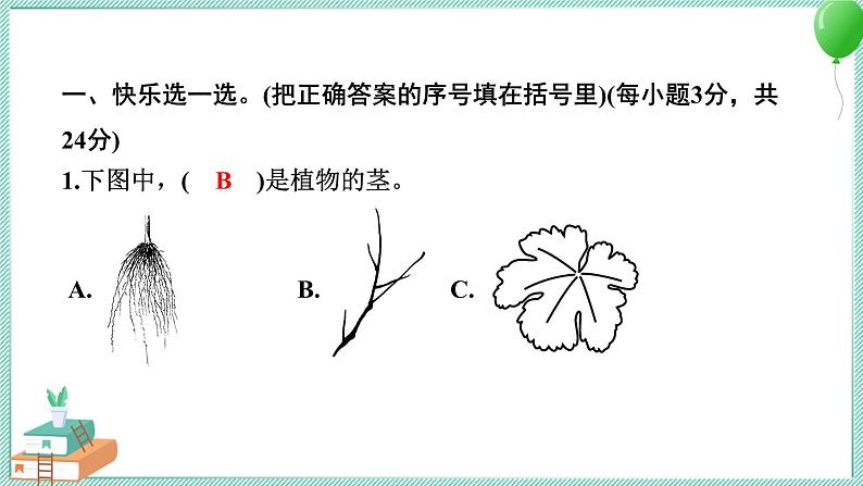 教科版科学一年级上册 期中测试卷 PPT讲解 (含答案+动画)02