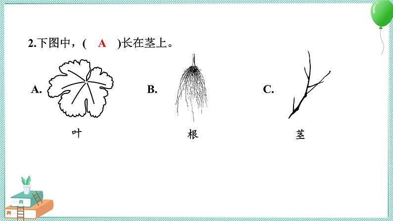 教科版科学一年级上册 期中测试卷 PPT讲解 (含答案+动画)03