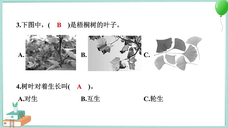 教科版科学一年级上册 期中测试卷 PPT讲解 (含答案+动画)04