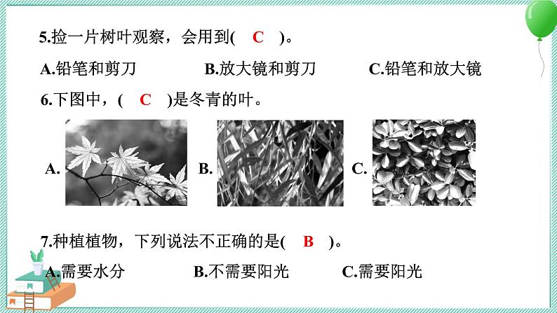 教科版科学一年级上册 期中测试卷 PPT讲解 (含答案+动画)05