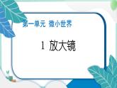 六上科学 1 放大镜  PPT讲解 (含答案+动画)