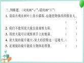 六上科学 1 放大镜  PPT讲解 (含答案+动画)