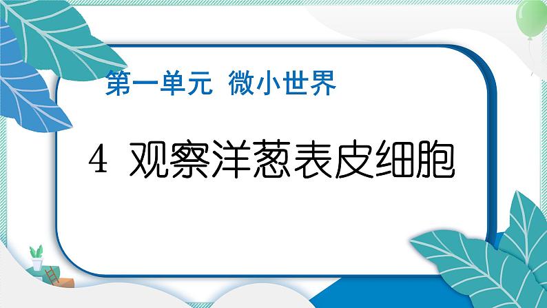 六上科学 4 观察洋葱表皮细胞  PPT讲解 (含答案+动画)第1页