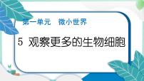 小学科学教科版 (2017)六年级上册5.观察更多的生物细胞多媒体教学课件ppt