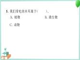 六上科学 7 微生物与健康  PPT讲解 (含答案+动画)