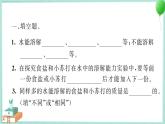 三上科学 5 水能溶解多少物质 习题PPT讲解 (含答案+动画)