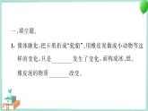 三上科学 8 它们发生了什么变化 习题PPT讲解 (含答案+动画)