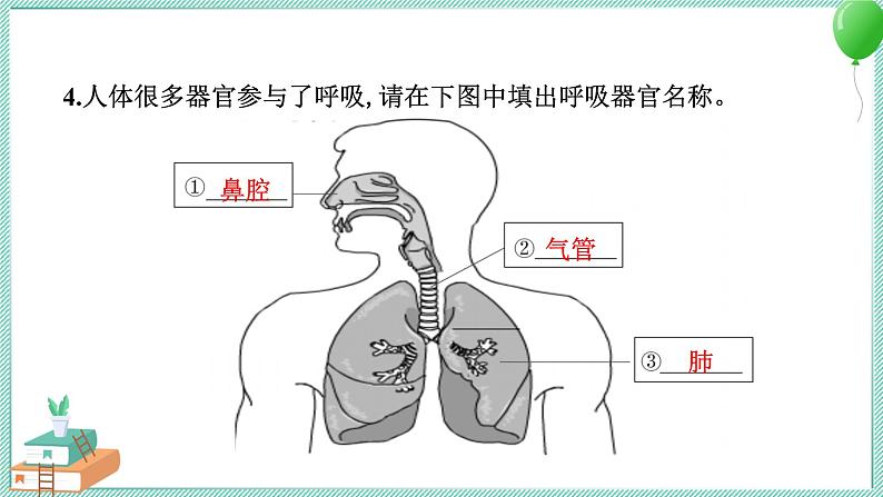 四上科学 1 感受我们的呼吸 习题PPT讲解 (含答案+动画)04