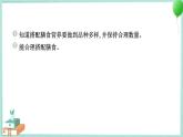 四上科学 6 营养要均衡 习题PPT讲解 (含答案+动画)