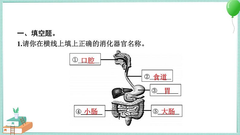 四上科学 8 食物在身体里的旅行 习题PPT讲解 (含答案+动画)03