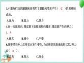 四上科学 3 用橡皮筋驱动小车 习题PPT讲解 (含答案+动画)
