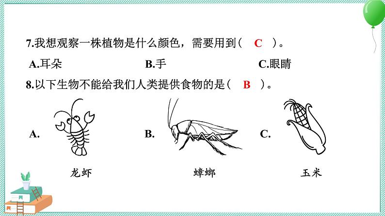 教科版科学二年级上册 期中测试卷 PPT讲解 (含答案+动画)06