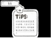 小学科学 二年级（上）“我们的地球家园”单元《太阳的位置和方向》课件