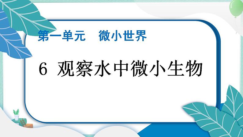 六上科学 6 观察水中微小生物  PPT讲解 (含答案+动画)第1页