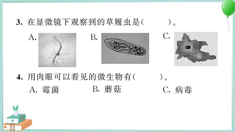 六上科学 6 观察水中微小生物  PPT讲解 (含答案+动画)第4页