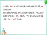 教科版科学六年级上册 第一单元微小世界学习达标测试 PPT讲解 (含答案+动画)