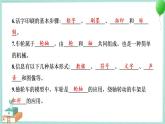 教科版科学六年级上册 第三单元工具与技术学习达标测试 PPT讲解 (含答案+动画)