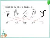 教科版科学一年级上册 第一单元 植物 学习达标测试 PPT讲解 (含答案+动画)