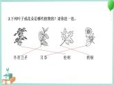 教科版科学一年级上册 第一单元 植物 学习达标测试 PPT讲解 (含答案+动画)