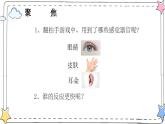 小学科学 二年级下册 第二单元第四课《测试反应快慢》 微课PPT课件