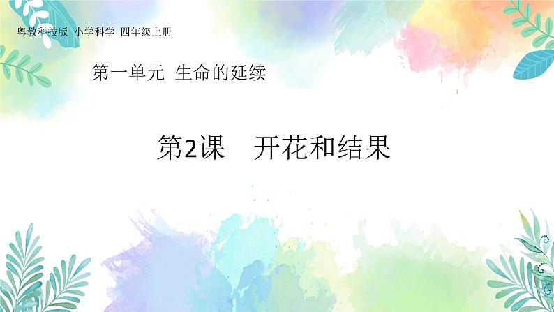 四年级上册科学课件-1.2《开花和结果》｜粤教版(共44张PPT)01