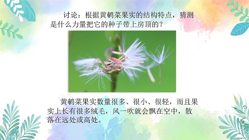 四年级上册科学课件-1.3《种子的传播》｜粤教版   共26张07