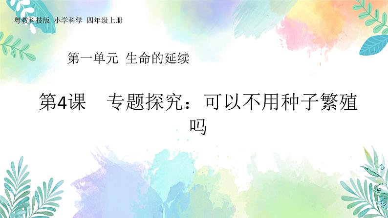 四年级上册科学课件-1.4《专题探究：可以不用种子繁殖吗》｜粤教版  共37张01