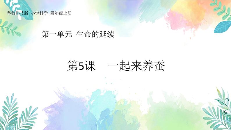 四年级上册科学课件-1.5《一起来养蚕》｜粤教版(共45张PPT)第1页