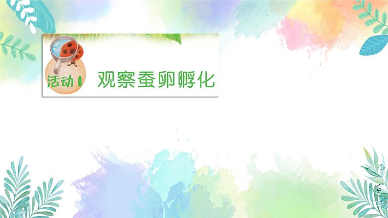 四年级上册科学课件-1.5《一起来养蚕》｜粤教版(共45张PPT)第3页