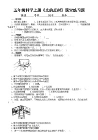 小学科学苏教版 (2017)五年级上册3 光的反射习题