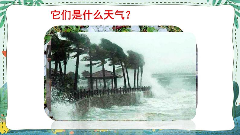 苏教版科学二年级上册 1.2 天气的影响 课件PPT+音频素材+调查问卷05