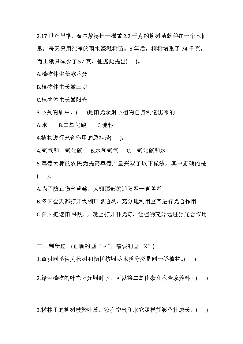 六年级上册科学同步练习-1.1 阳光下的植物 湘科版（含答案）02