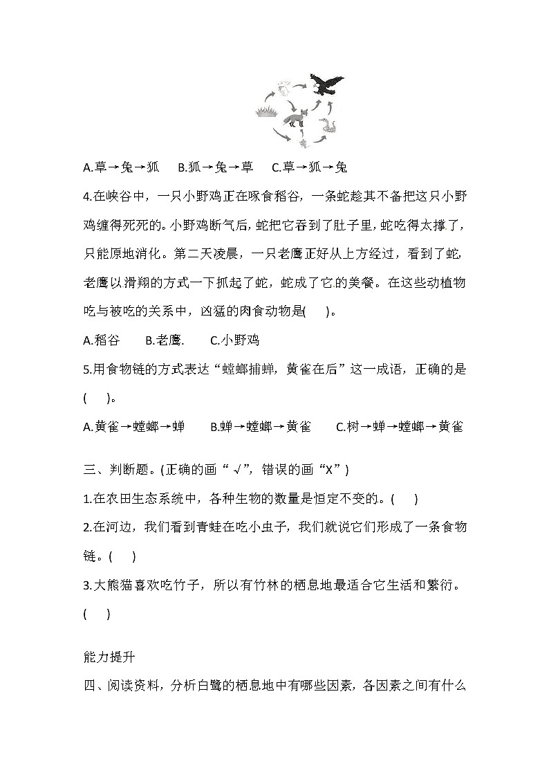 六年级上册科学同步练习-1.2 从吃与被吃说起 湘科版（含答案）02