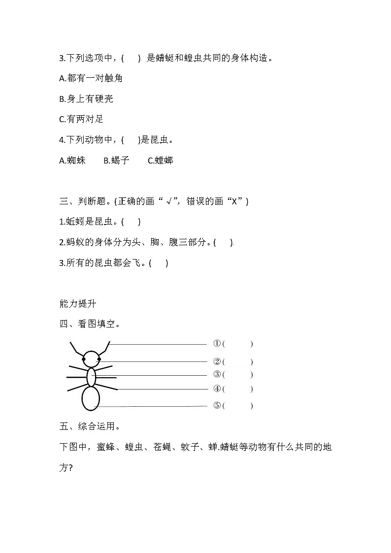湘科版科学三年级上册 2.1 昆虫 同步训练（含答案）02
