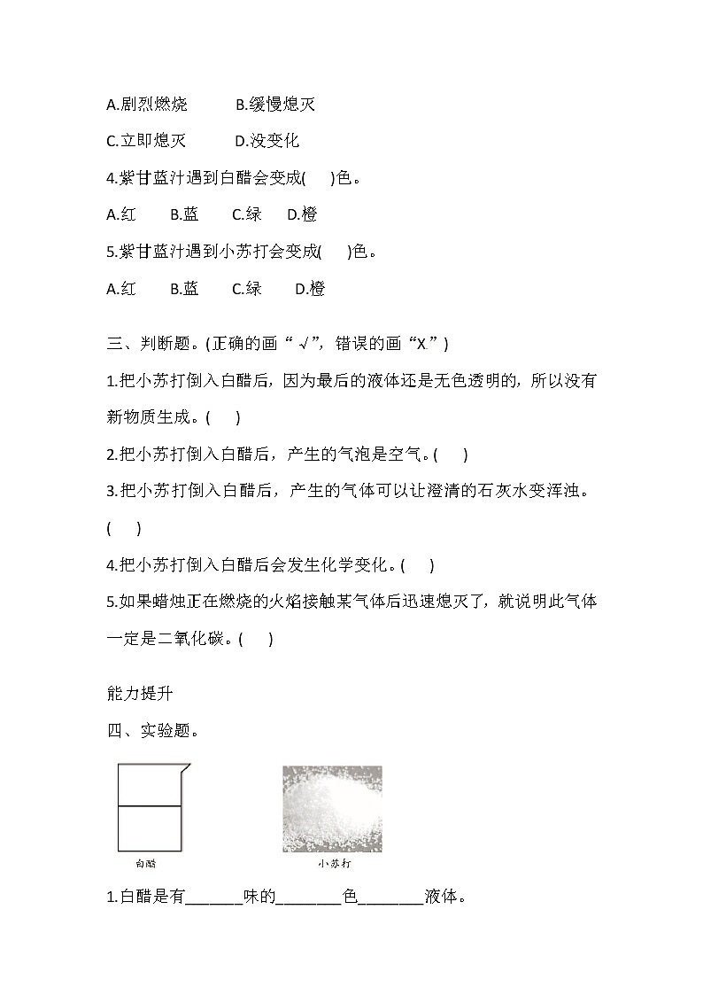 湘科版科学五年级上册 4.2 小苏打与白醋的反应 同步训练（含答案）02