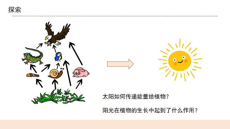 教科版2017科学6上7《能量从哪里来》课件PPT+教案05