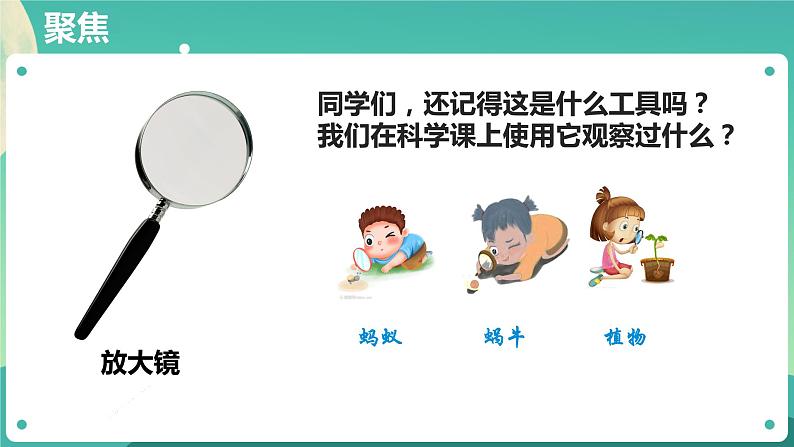 教科版六上科学  1.1《放大镜》课件+教案+练习+素材02