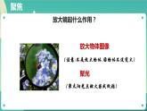 教科版六上科学  1.1《放大镜》课件+教案+练习+素材