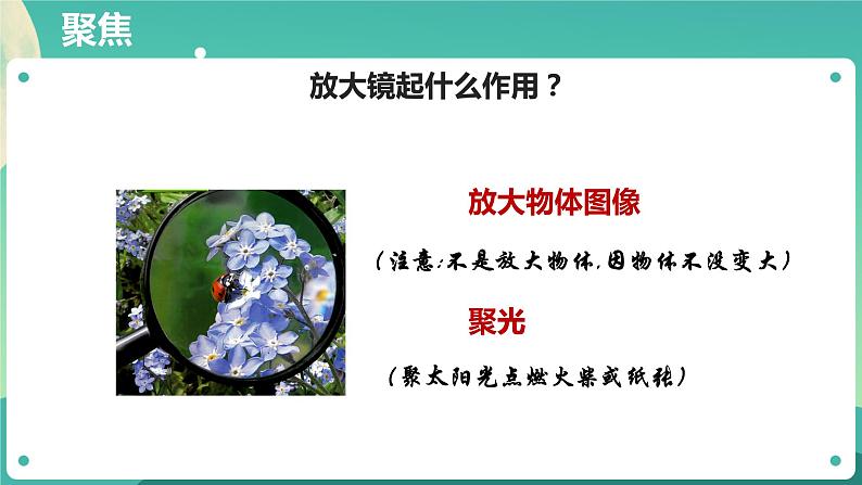教科版六上科学  1.1《放大镜》课件+教案+练习+素材04