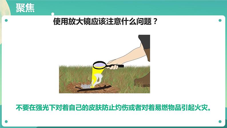 教科版六上科学  1.1《放大镜》课件+教案+练习+素材06