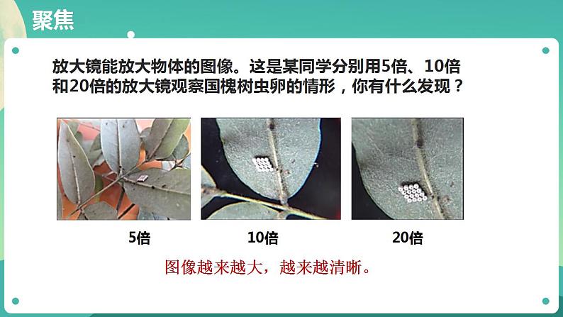 教科版六上科学  1.2《怎样放得更大》课件+教案+练习+素材02