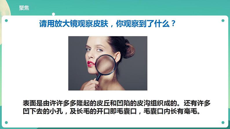 教科版六上科学  1.2《怎样放得更大》课件+教案+练习+素材03